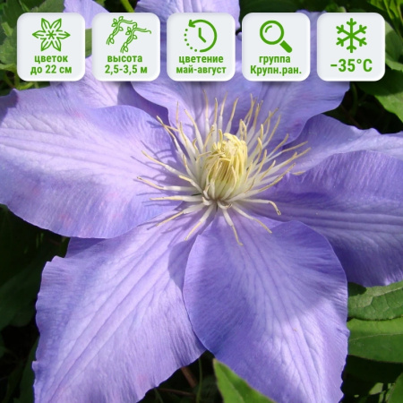 1 1