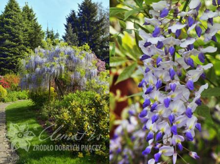 НоменклатураПрисоединенныеФайлы НоменклатураПрисоединенныеФайлы