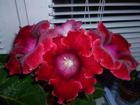 НоменклатураПрисоединенныеФайлы