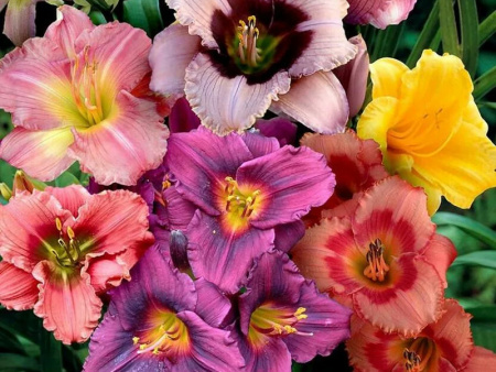 НоменклатураПрисоединенныеФайлы