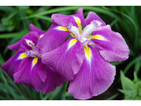 НоменклатураПрисоединенныеФайлы