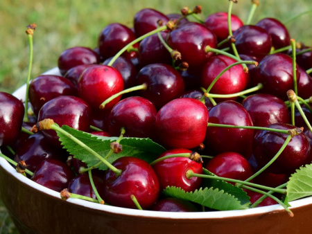 черешня Сказка