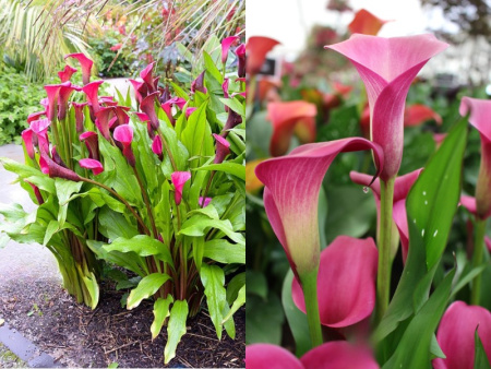 НоменклатураПрисоединенныеФайлы НоменклатураПрисоединенныеФайлы