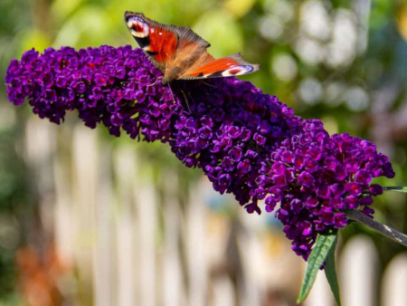 НоменклатураПрисоединенныеФайлы НоменклатураПрисоединенныеФайлы