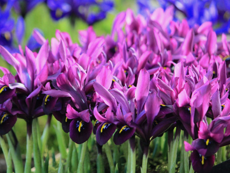 НоменклатураПрисоединенныеФайлы