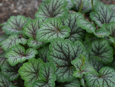 НоменклатураПрисоединенныеФайлы