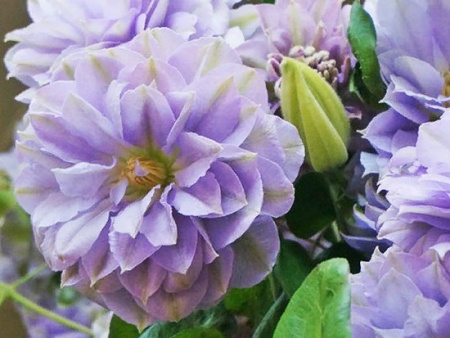 НоменклатураПрисоединенныеФайлы