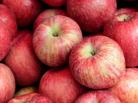 яблоня Мелба