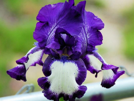 НоменклатураПрисоединенныеФайлы