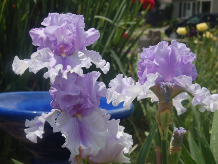 НоменклатураПрисоединенныеФайлы