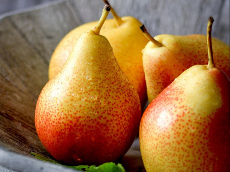 груша Грация