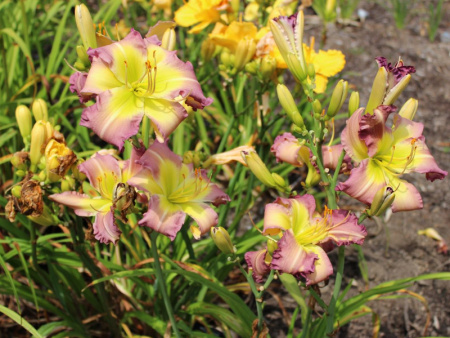 НоменклатураПрисоединенныеФайлы