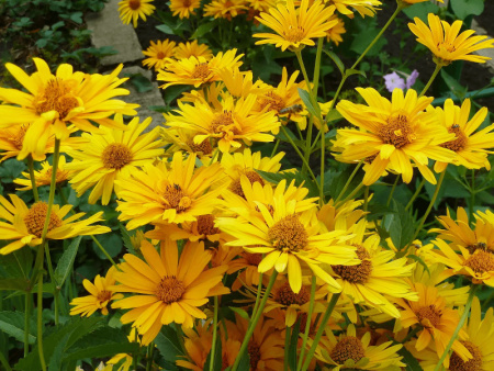 НоменклатураПрисоединенныеФайлы