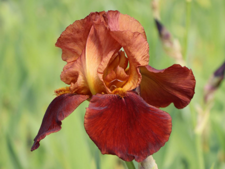 НоменклатураПрисоединенныеФайлы