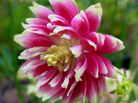 НоменклатураПрисоединенныеФайлы