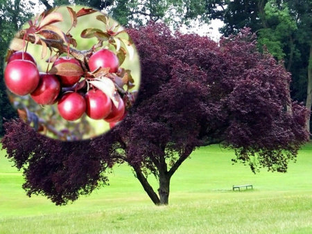 НоменклатураПрисоединенныеФайлы