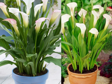 НоменклатураПрисоединенныеФайлы НоменклатураПрисоединенныеФайлы