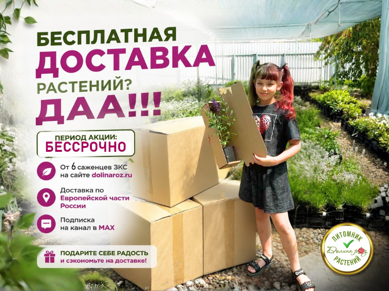 Бесплатная доставка растений? Да! фото
