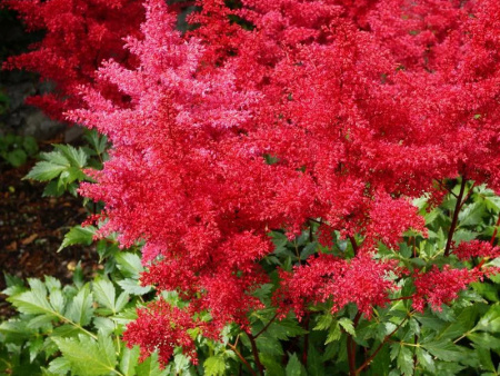 НоменклатураПрисоединенныеФайлы НоменклатураПрисоединенныеФайлы