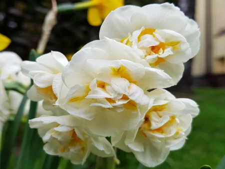 НоменклатураПрисоединенныеФайлы