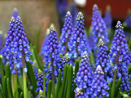 НоменклатураПрисоединенныеФайлы