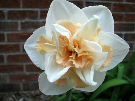 НоменклатураПрисоединенныеФайлы