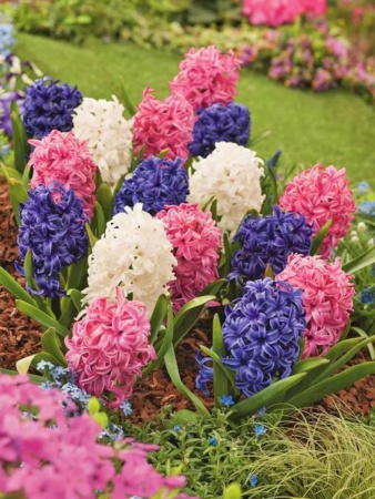 НоменклатураПрисоединенныеФайлы