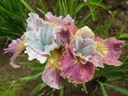 НоменклатураПрисоединенныеФайлы