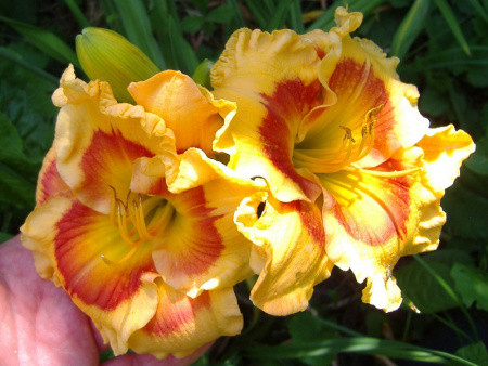 НоменклатураПрисоединенныеФайлы