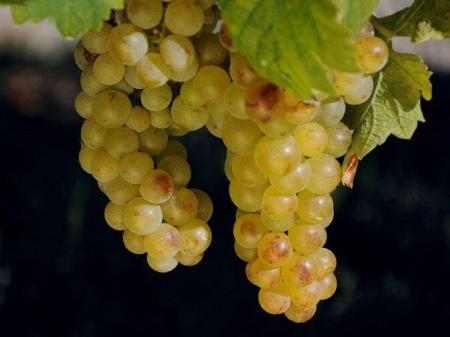 НоменклатураПрисоединенныеФайлы НоменклатураПрисоединенныеФайлы