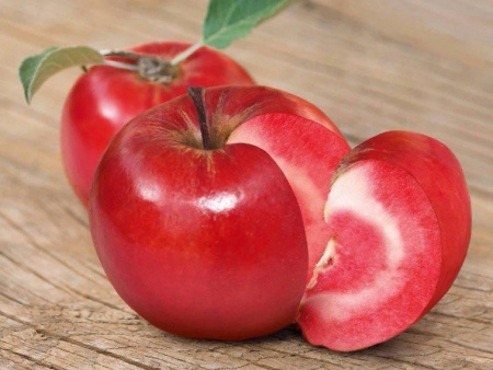 НоменклатураПрисоединенныеФайлы