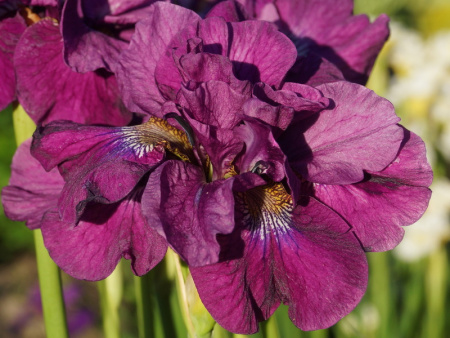 НоменклатураПрисоединенныеФайлы