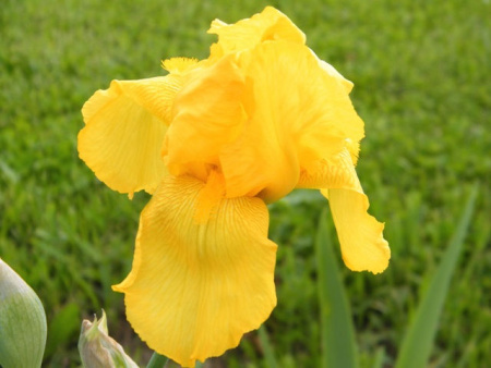 НоменклатураПрисоединенныеФайлы