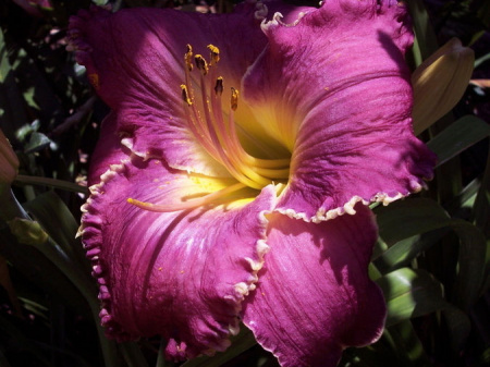 НоменклатураПрисоединенныеФайлы