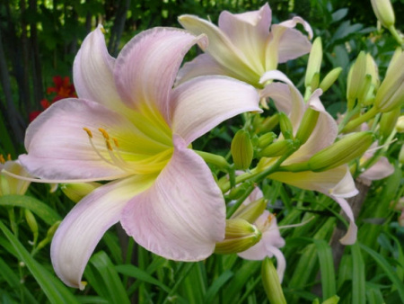 НоменклатураПрисоединенныеФайлы