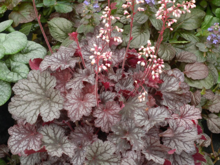 НоменклатураПрисоединенныеФайлы