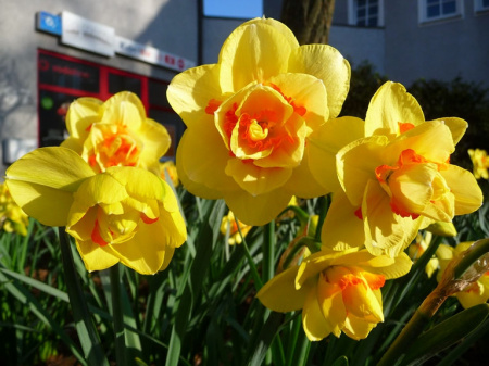 НоменклатураПрисоединенныеФайлы