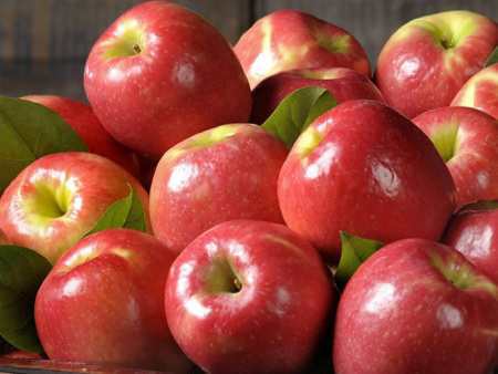 НоменклатураПрисоединенныеФайлы