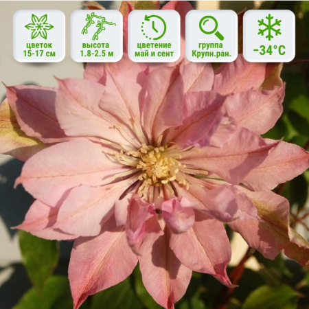 1 1