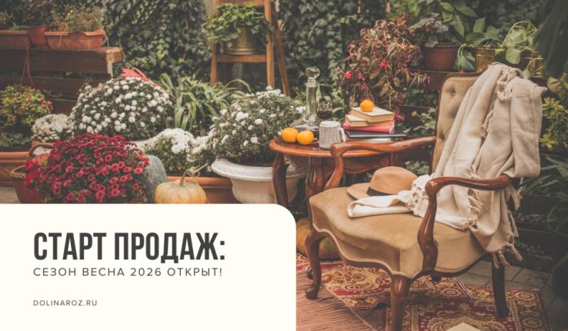 Старт продаж: сезон весна 2026 открыт! фото
