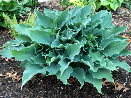 НоменклатураПрисоединенныеФайлы