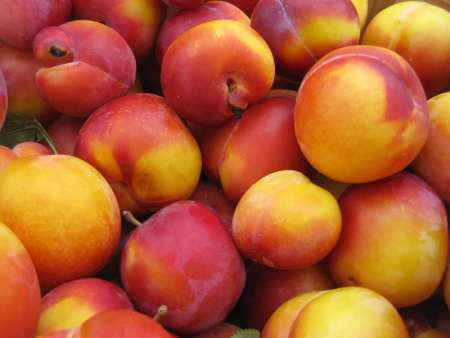 НоменклатураПрисоединенныеФайлы