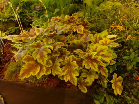 НоменклатураПрисоединенныеФайлы