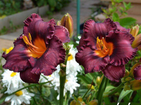 НоменклатураПрисоединенныеФайлы