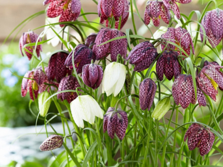 НоменклатураПрисоединенныеФайлы