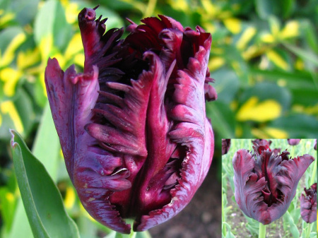 НоменклатураПрисоединенныеФайлы