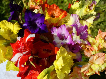 НоменклатураПрисоединенныеФайлы НоменклатураПрисоединенныеФайлы