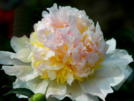 НоменклатураПрисоединенныеФайлы