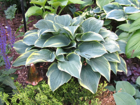 НоменклатураПрисоединенныеФайлы