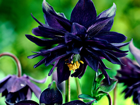 0_7d06a_3c105e98_XXL 0_7d06a_3c105e98_XXL